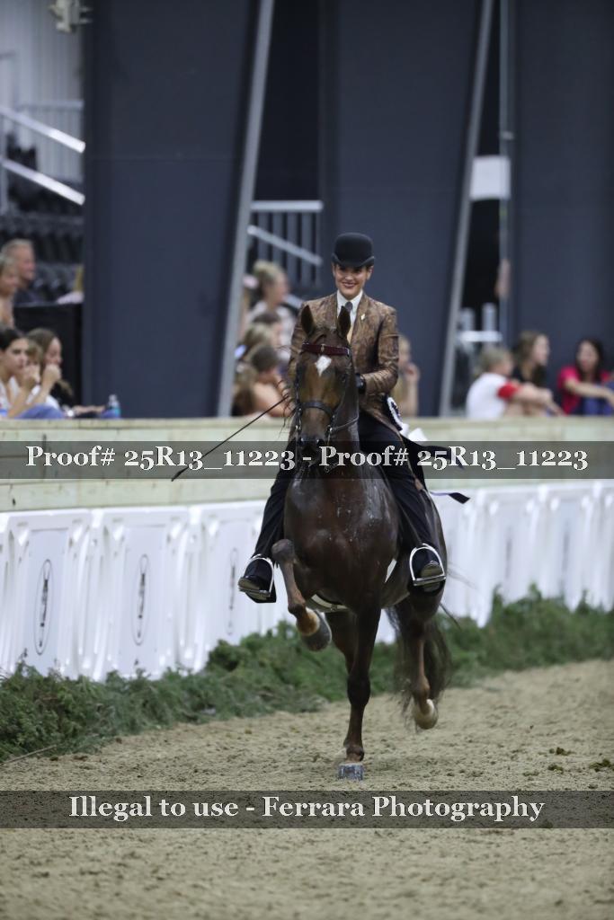 Proof Number 25R13_11223