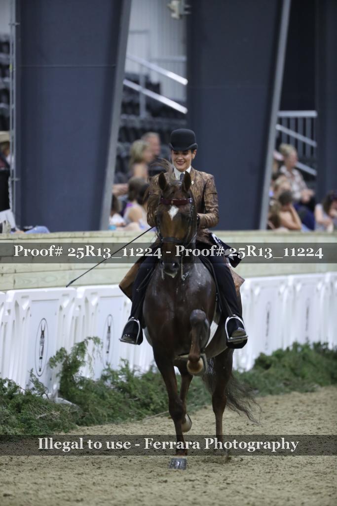 Proof Number 25R13_11224