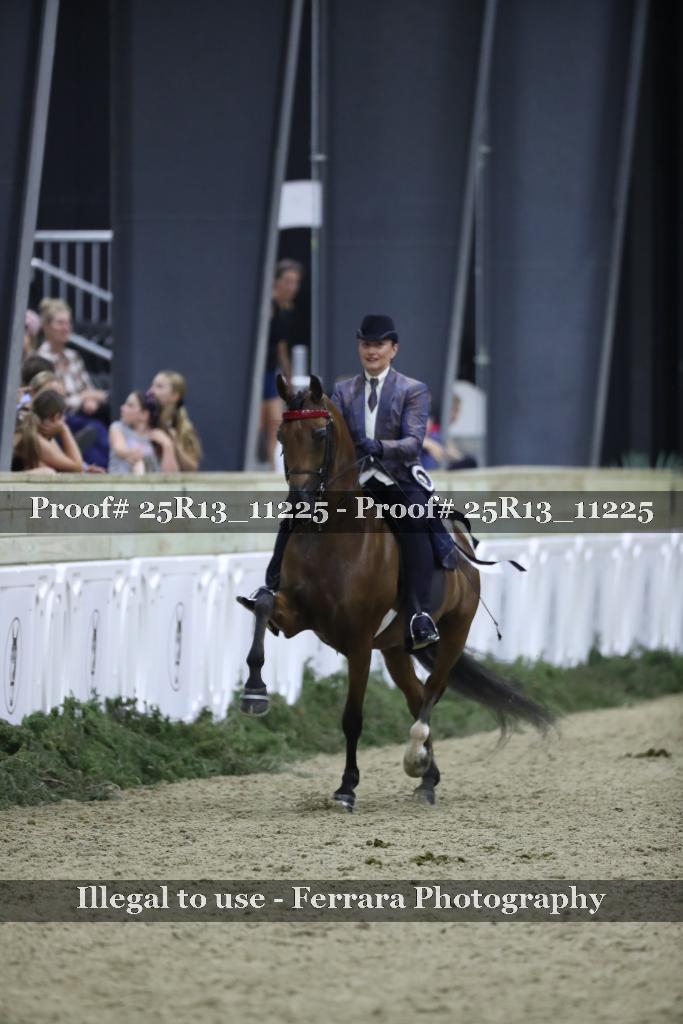 Proof Number 25R13_11225