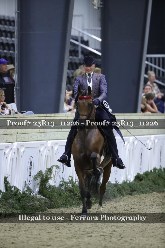 Proof Number 25R13_11226