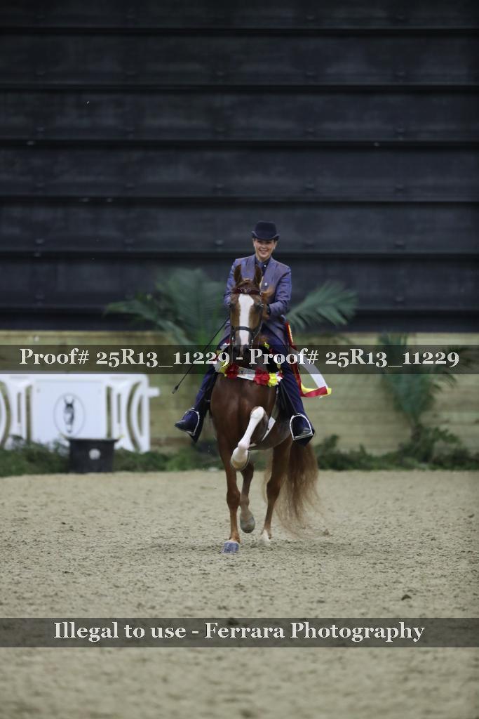 Proof Number 25R13_11229
