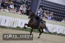 25R13_11230 thumbnail