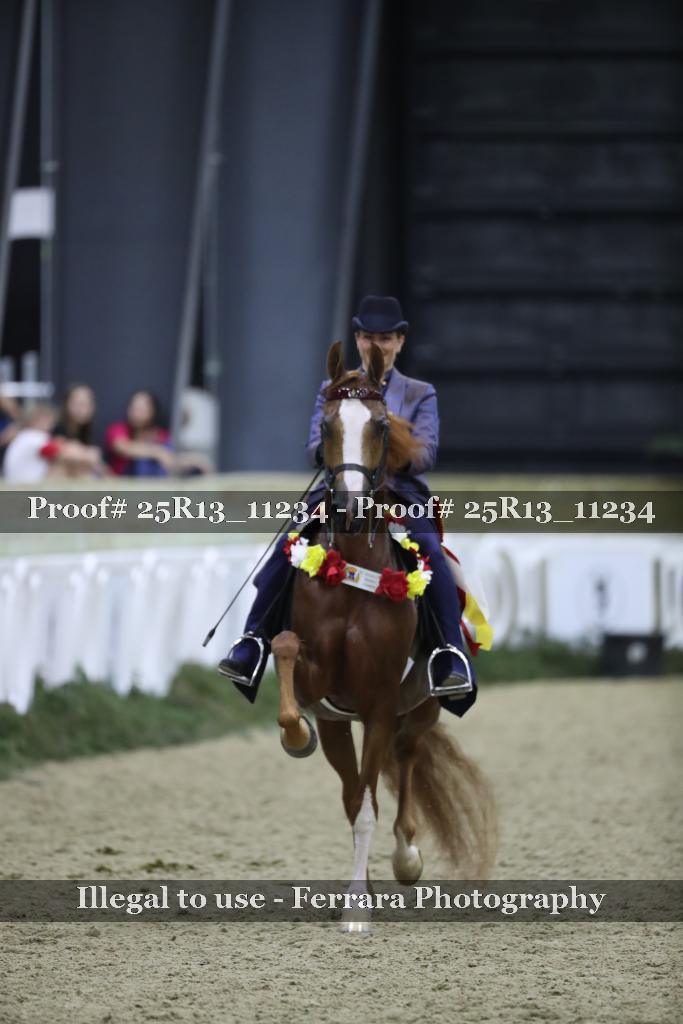 Proof Number 25R13_11234