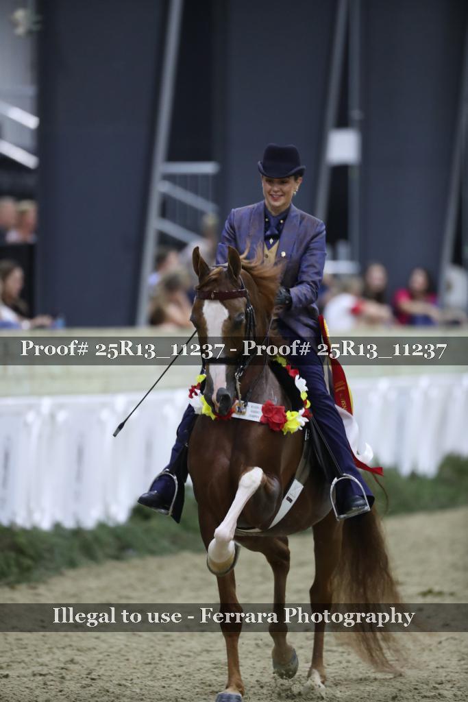 Proof Number 25R13_11237