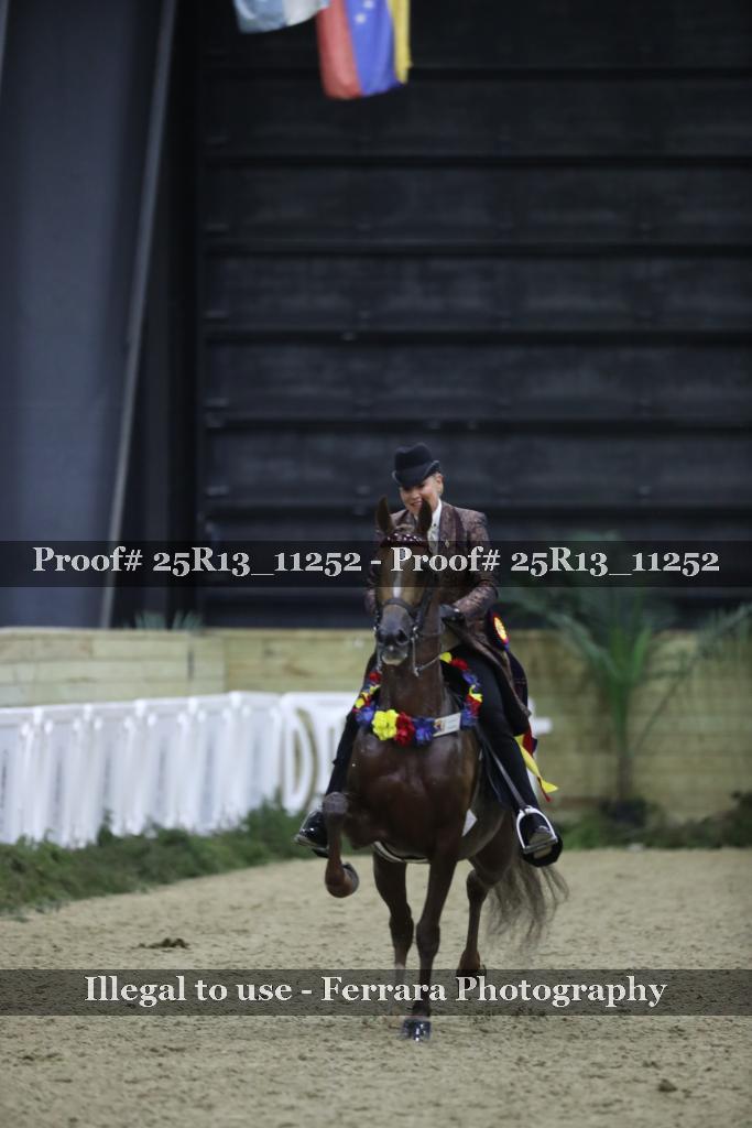 Proof Number 25R13_11252