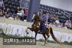 25R13_11259 thumbnail