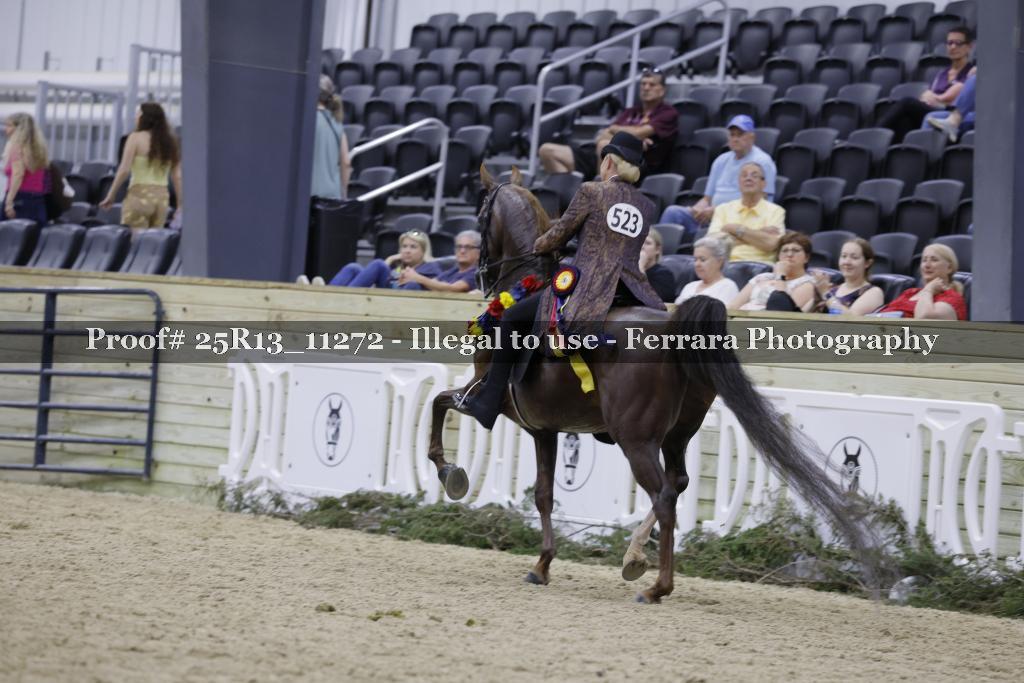 Proof Number 25R13_11272