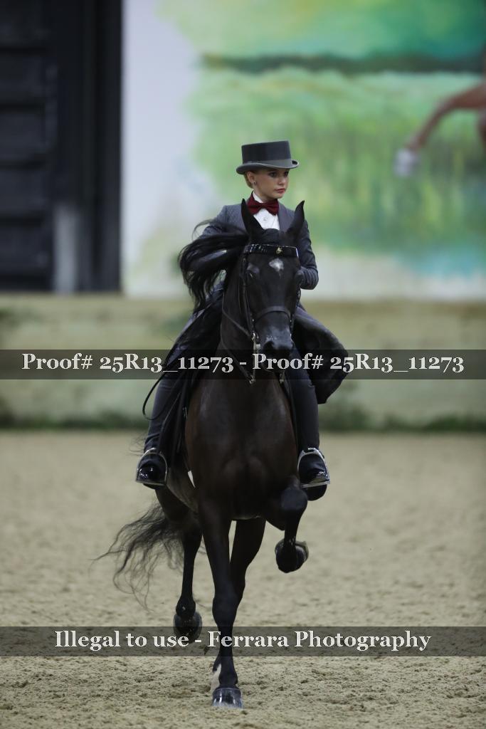 Proof Number 25R13_11273