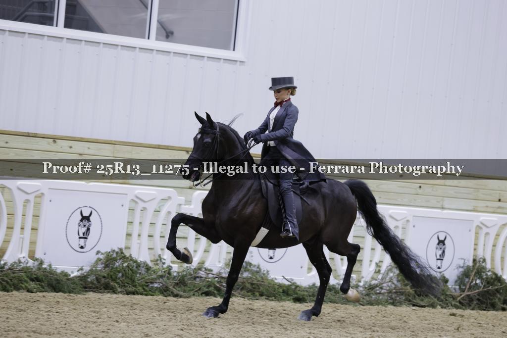 Proof Number 25R13_11275
