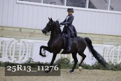 25R13_11276 thumbnail