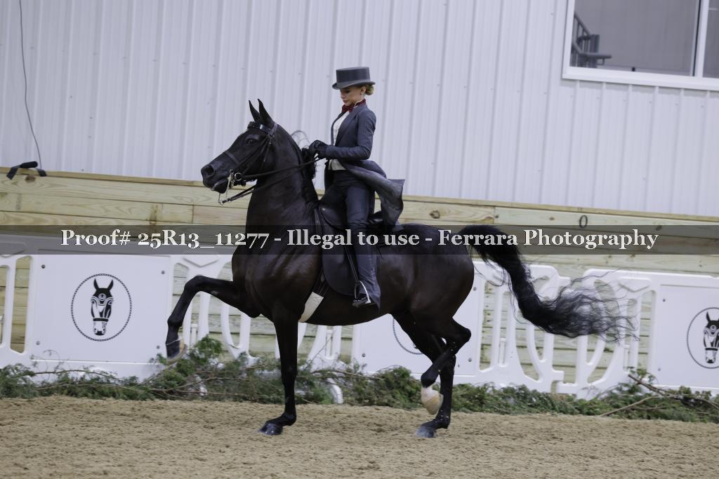 Proof Number 25R13_11277