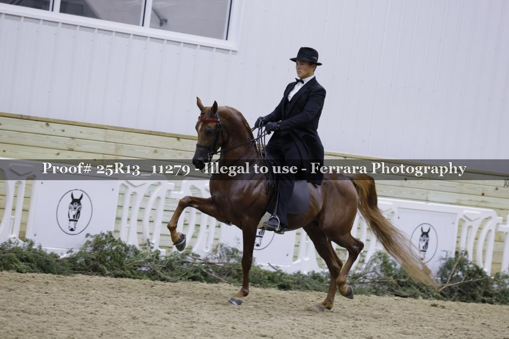 Proof Number 25R13_11279