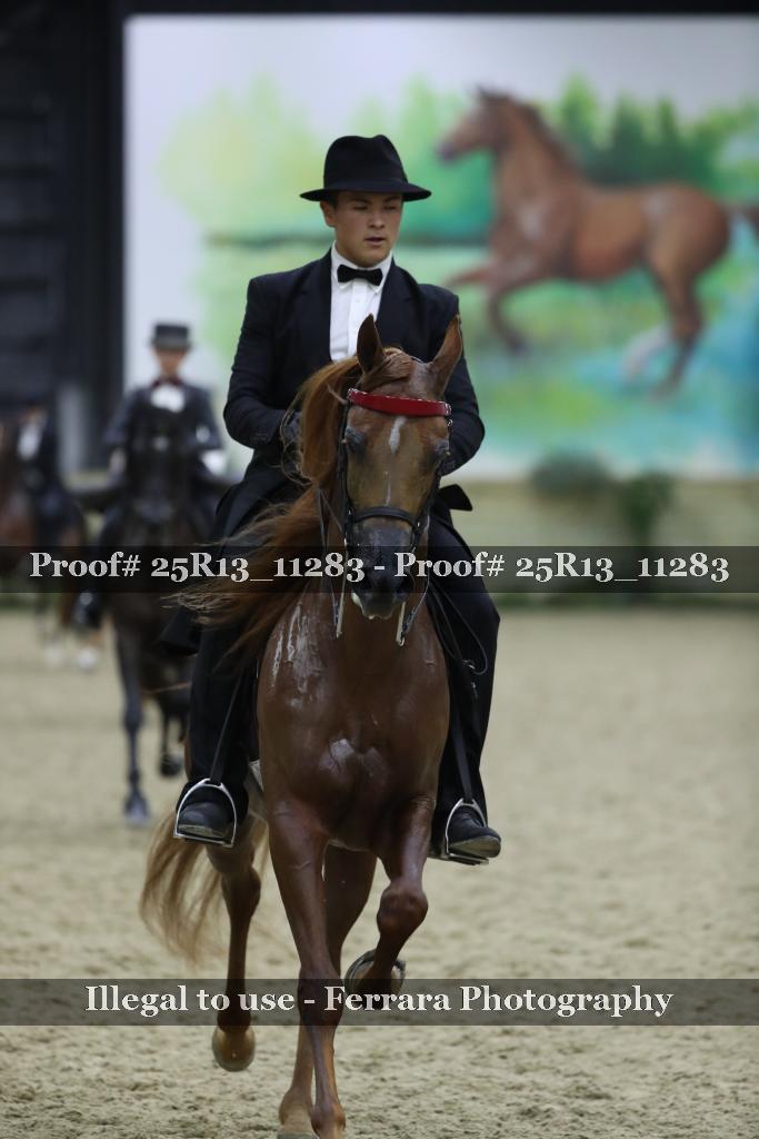 Proof Number 25R13_11283