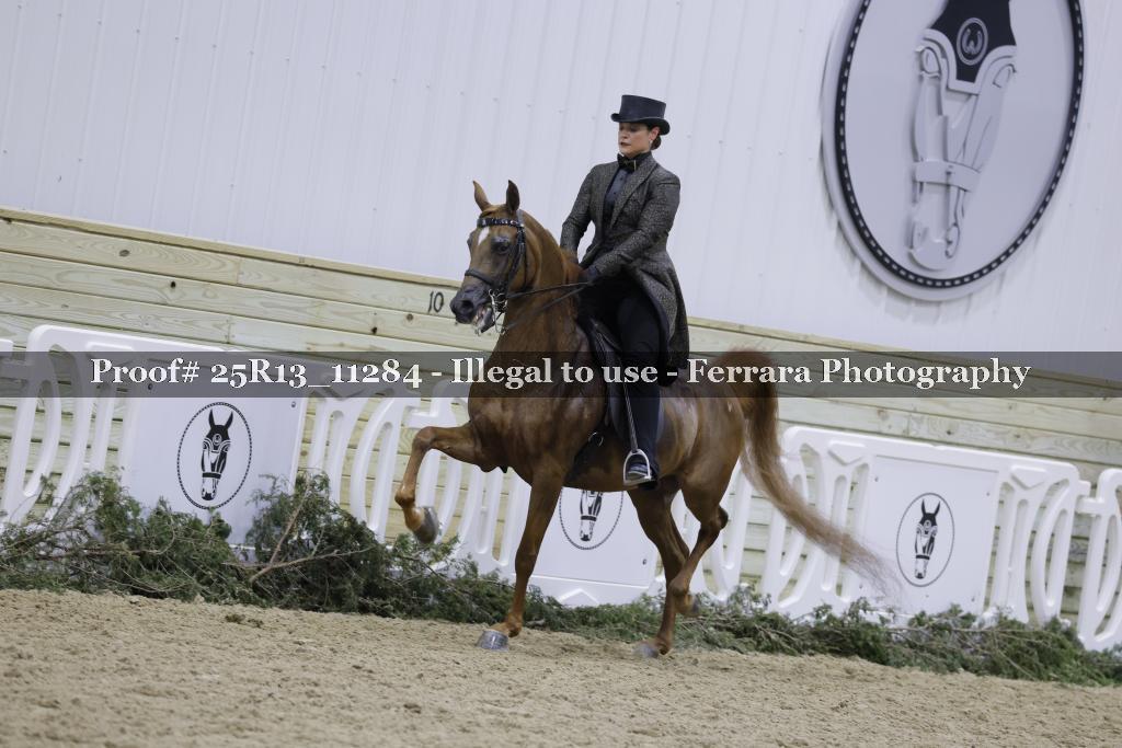 Proof Number 25R13_11284