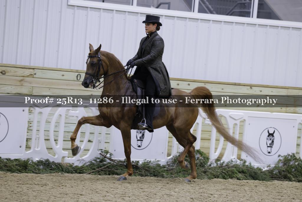 Proof Number 25R13_11286
