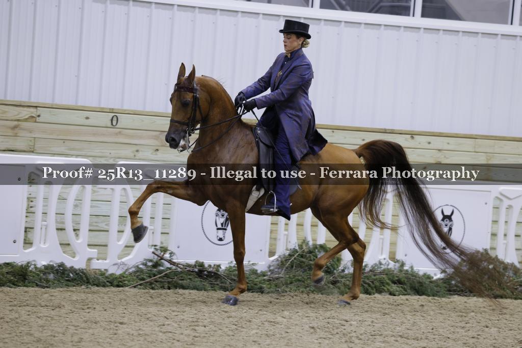 Proof Number 25R13_11289