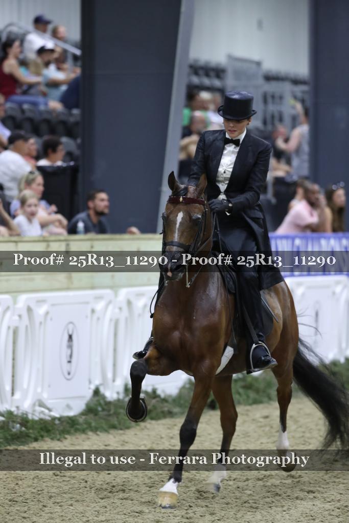 Proof Number 25R13_11290