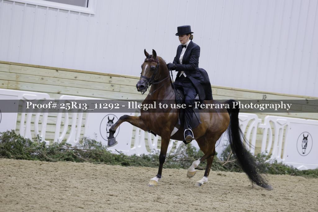 Proof Number 25R13_11292
