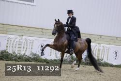 25R13_11292 thumbnail