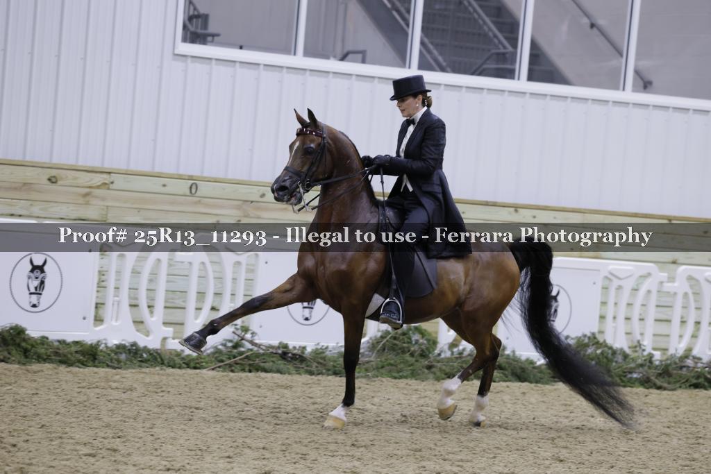 Proof Number 25R13_11293