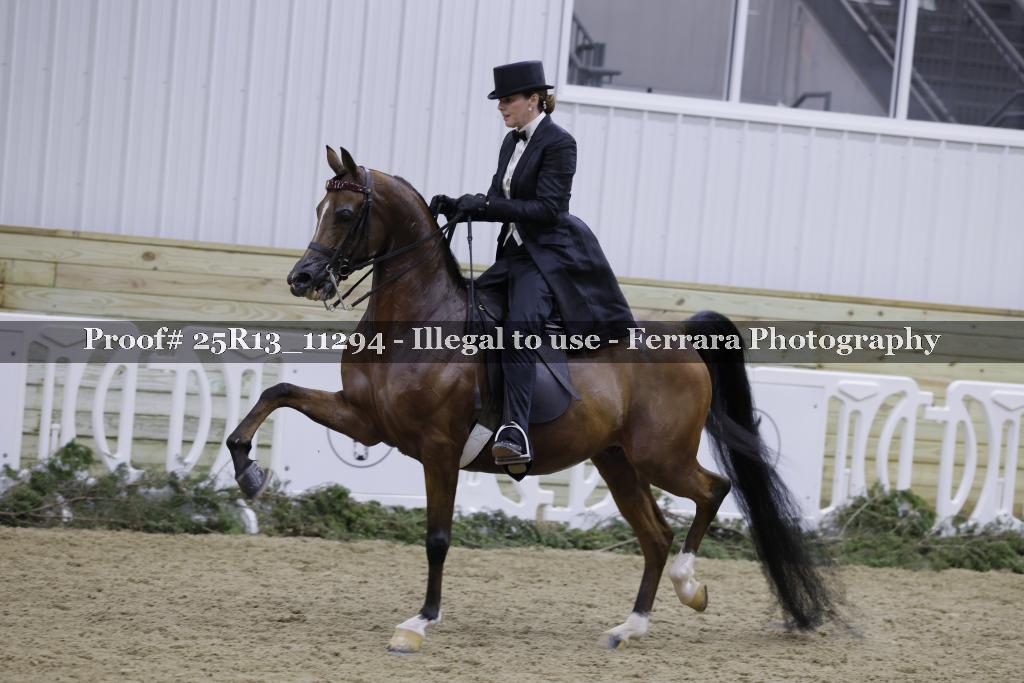 Proof Number 25R13_11294