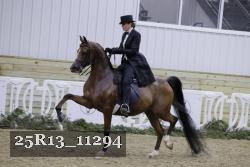 25R13_11294 thumbnail