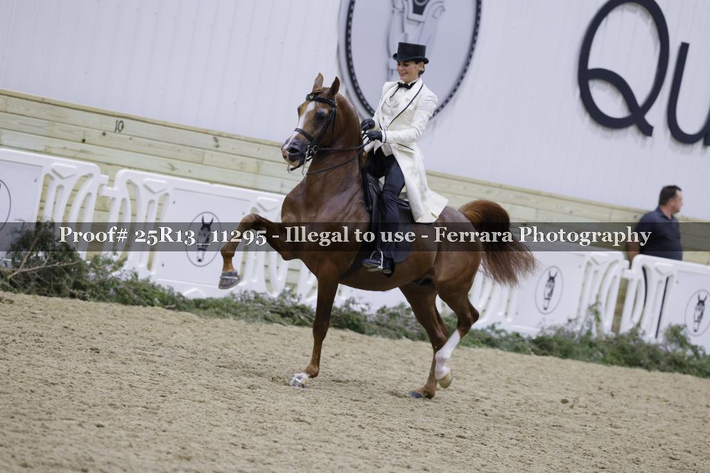 Proof Number 25R13_11295