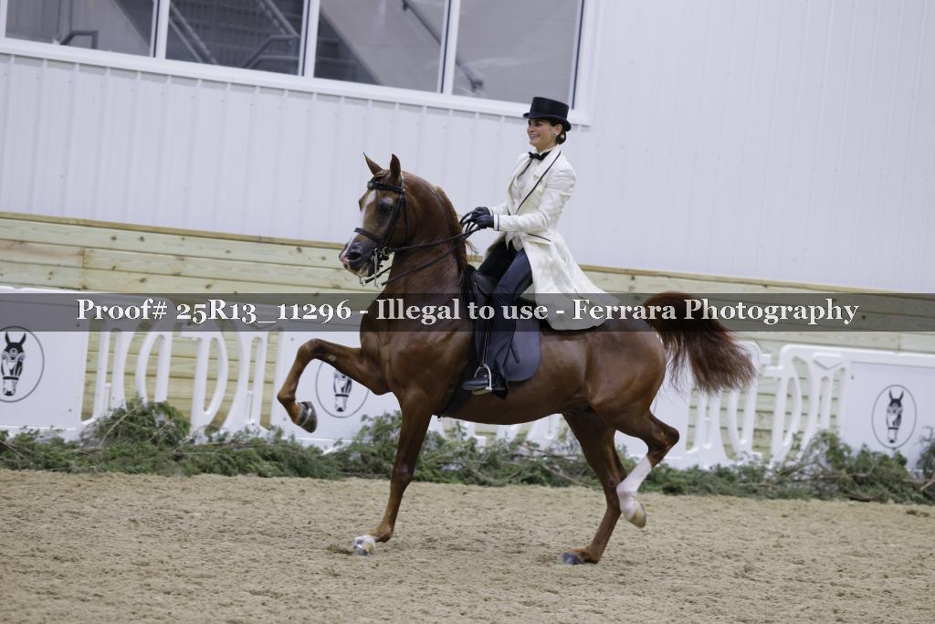 Proof Number 25R13_11296