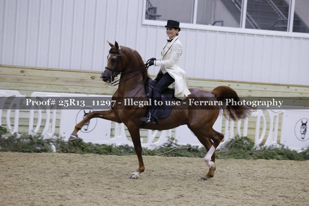 Proof Number 25R13_11297