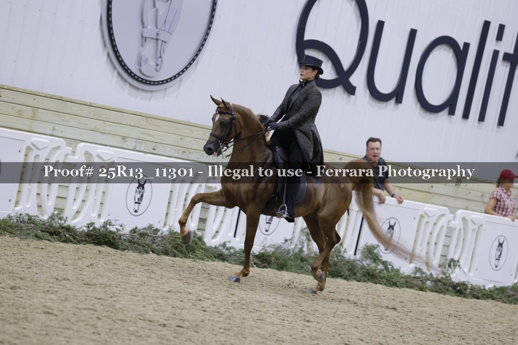 Proof Number 25R13_11301