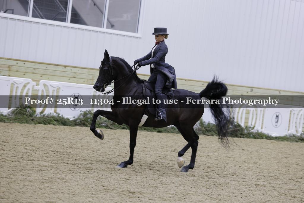 Proof Number 25R13_11304