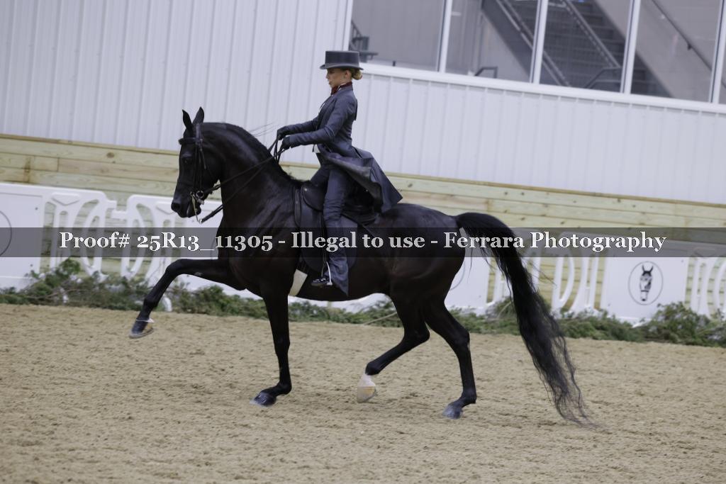 Proof Number 25R13_11305