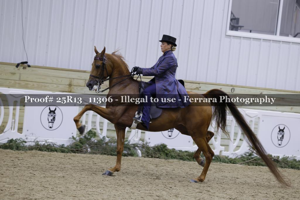 Proof Number 25R13_11306