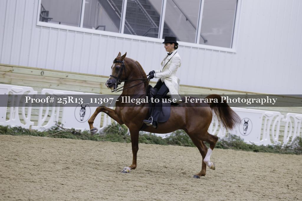 Proof Number 25R13_11307