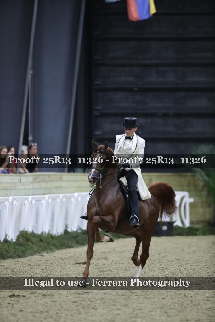Proof Number 25R13_11326