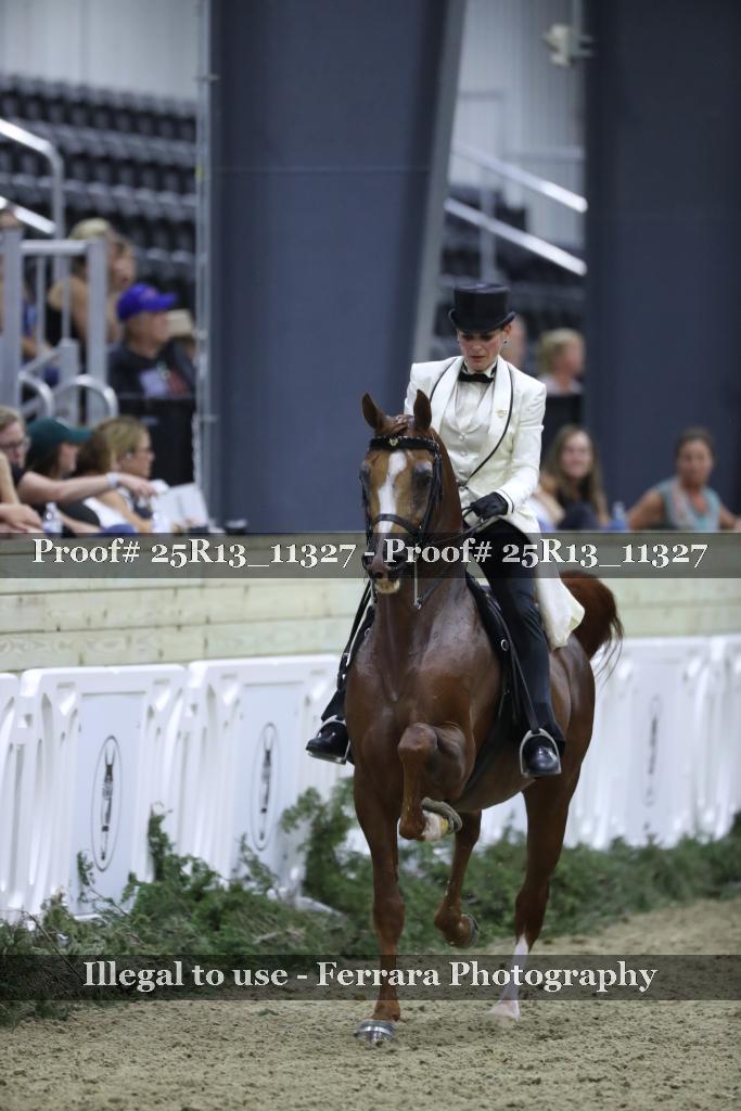 Proof Number 25R13_11327