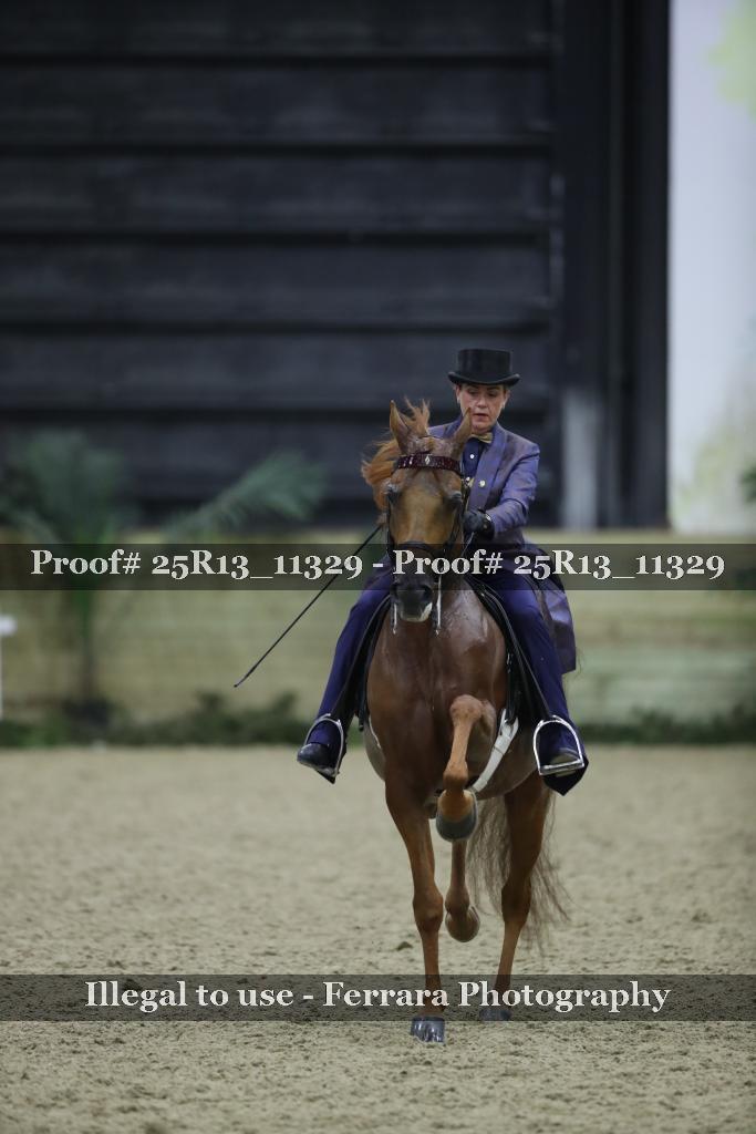Proof Number 25R13_11329