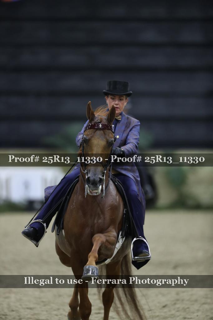 Proof Number 25R13_11330