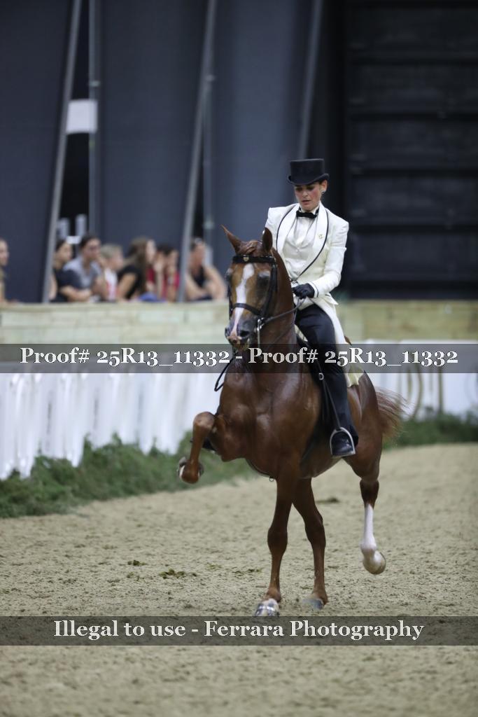 Proof Number 25R13_11332