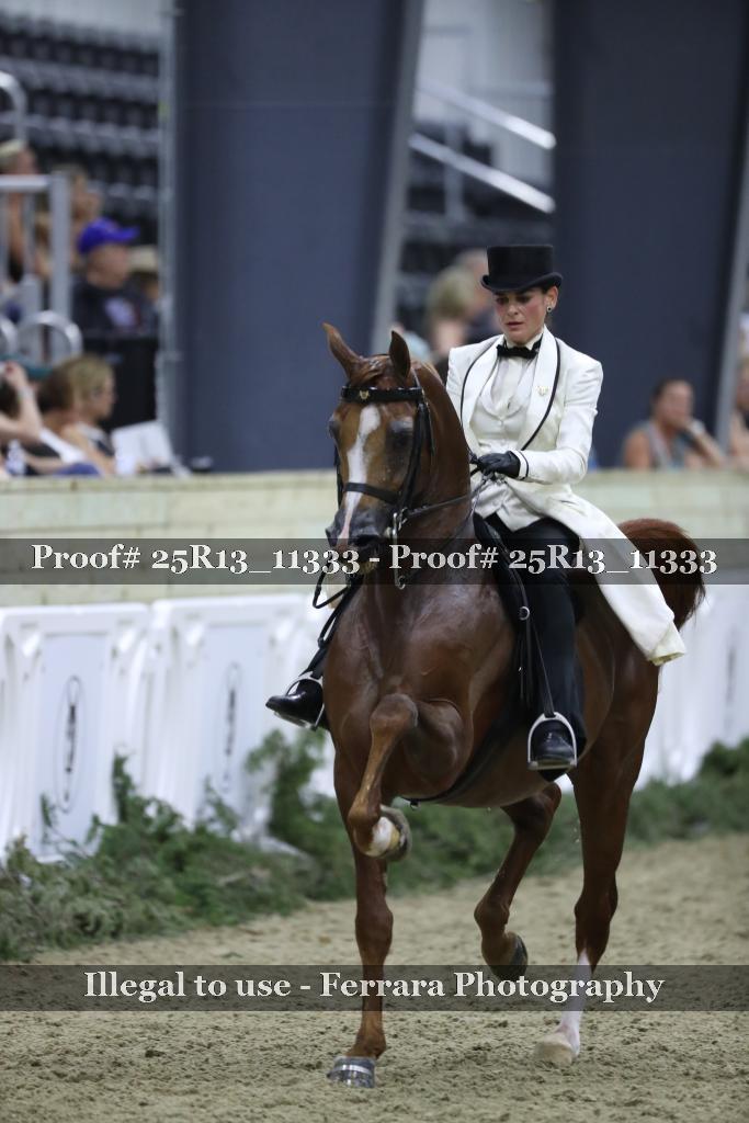Proof Number 25R13_11333
