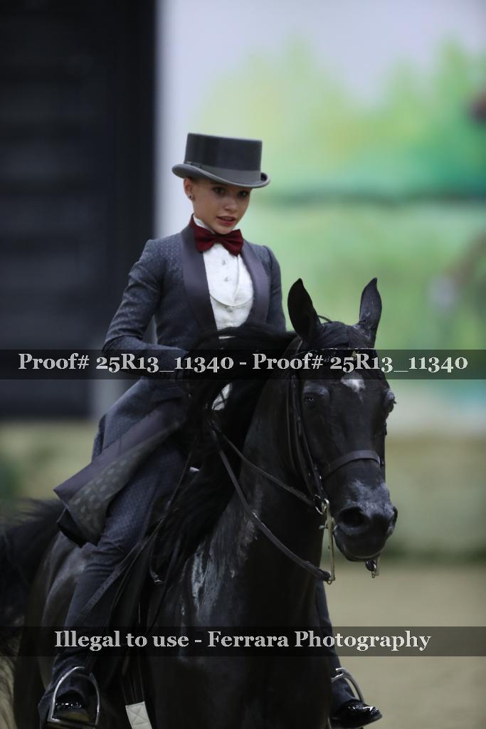 Proof Number 25R13_11340