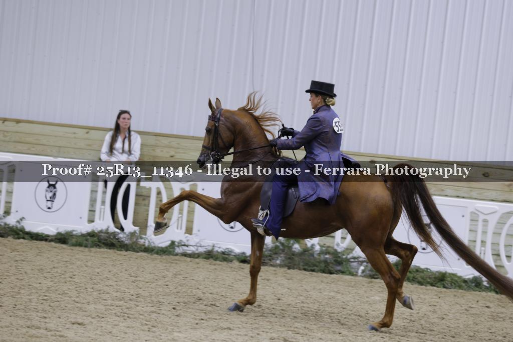 Proof Number 25R13_11346