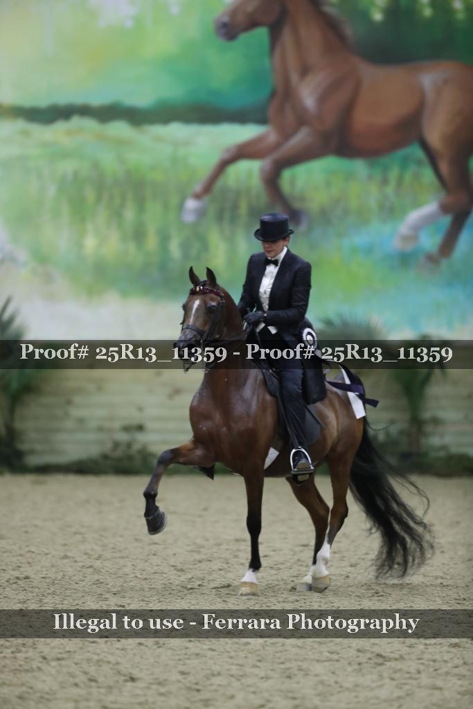Proof Number 25R13_11359