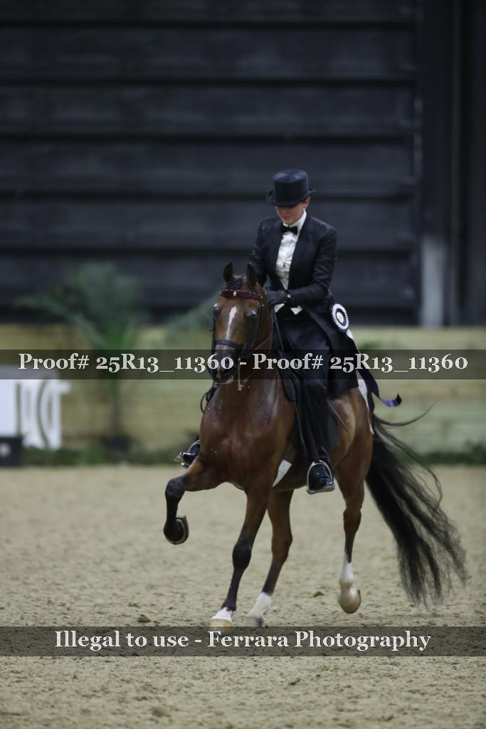 Proof Number 25R13_11360