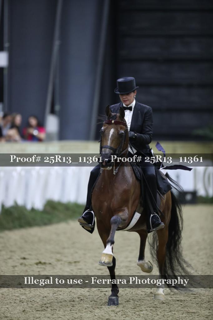 Proof Number 25R13_11361