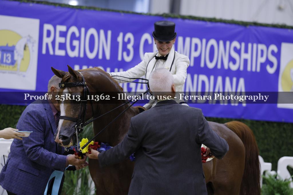 Proof Number 25R13_11362