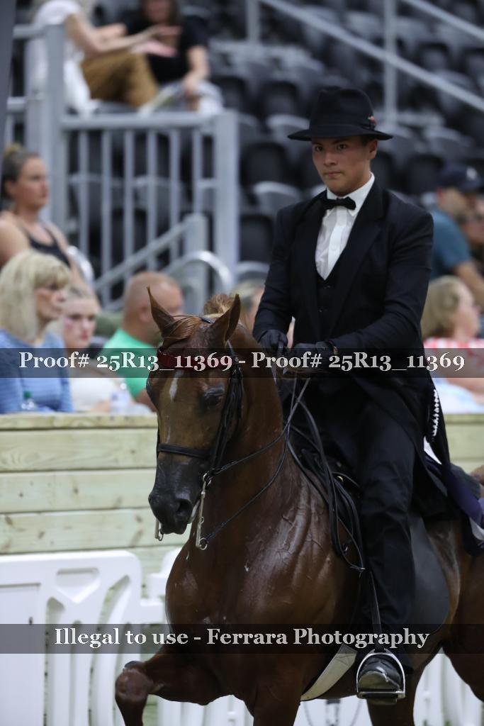 Proof Number 25R13_11369