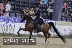 25R13_11372 thumbnail