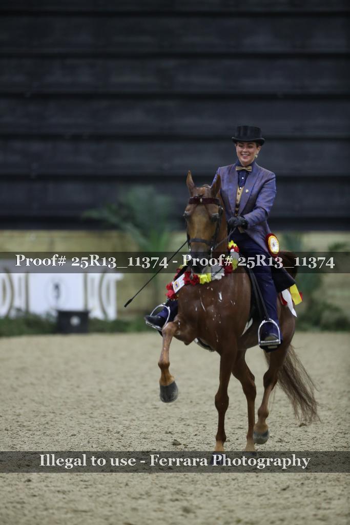 Proof Number 25R13_11374