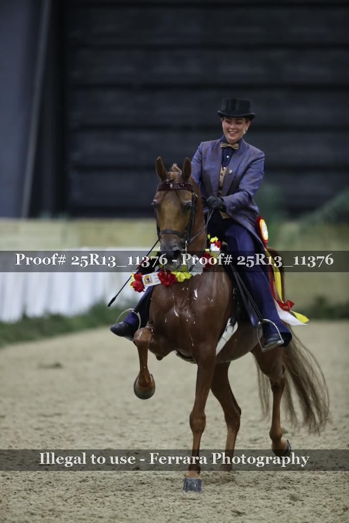 Proof Number 25R13_11376